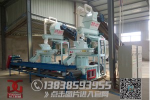 锯末颗粒机使能源行业现状稳固发展