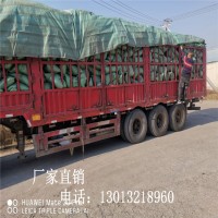 北京轻集料混凝土 轻骨料厂家直销