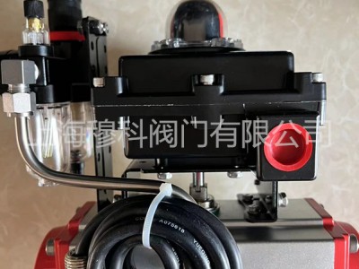 欧文托普OVENDOPE气动法兰球阀图4