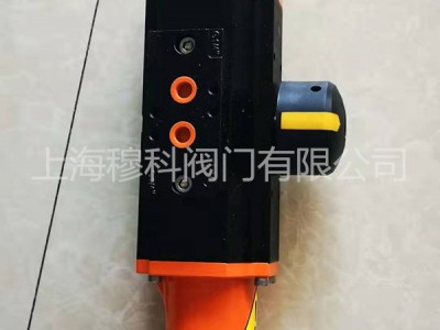 德国依博罗EBRO双作用气动执行器图2