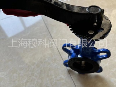 原装进口手动蝶阀图2