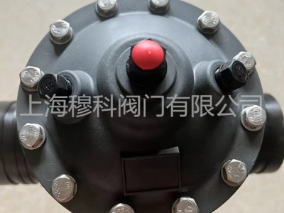原装进口伯尔梅特反冲洗控制阀图2