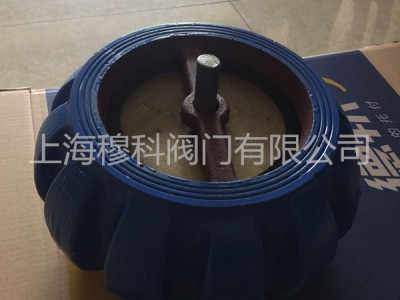 欧文托普H71XT南瓜型止回阀图2