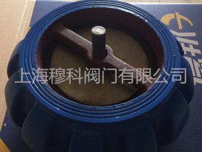 欧文托普H71XT南瓜型止回阀图3