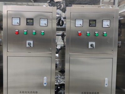 水箱臭氧消毒器（外置）图2