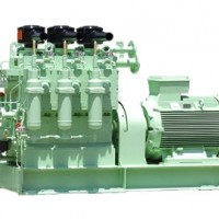 LSHC-50A 日本田边TANABE船用空压机配件