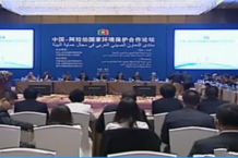 2015中国-阿拉伯国家环境保护合作论坛在银川举行
